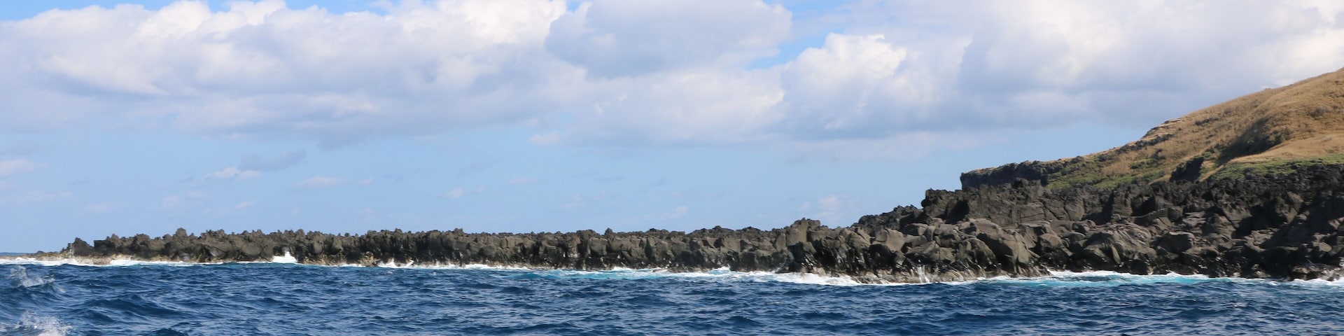 八丈小島鳥打地区熔岩地帯を海上から望む(東京都八丈町)