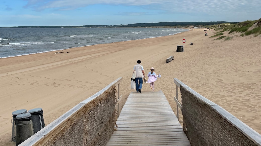 Tylösand, beach, Halland, Halmstad, Sweden