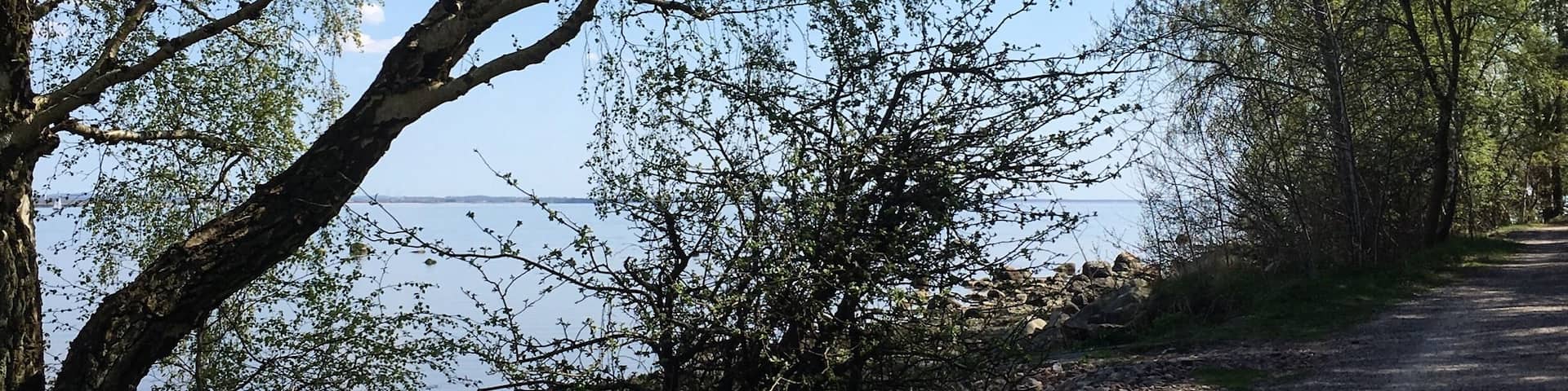A beautiful day to bike! You simply follow the pedestrian/biking route "Prins Bertils stig" and you will have the view of the sea all along the 24 km!