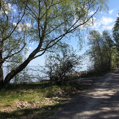 A beautiful day to bike! You simply follow the pedestrian/biking route "Prins Bertils stig" and you will have the view of the sea all along the 24 km!