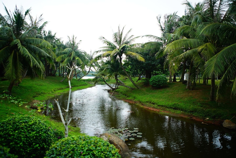 Close to the beach, garden in Chinese style, with tropical trees and plants. Relaxing!