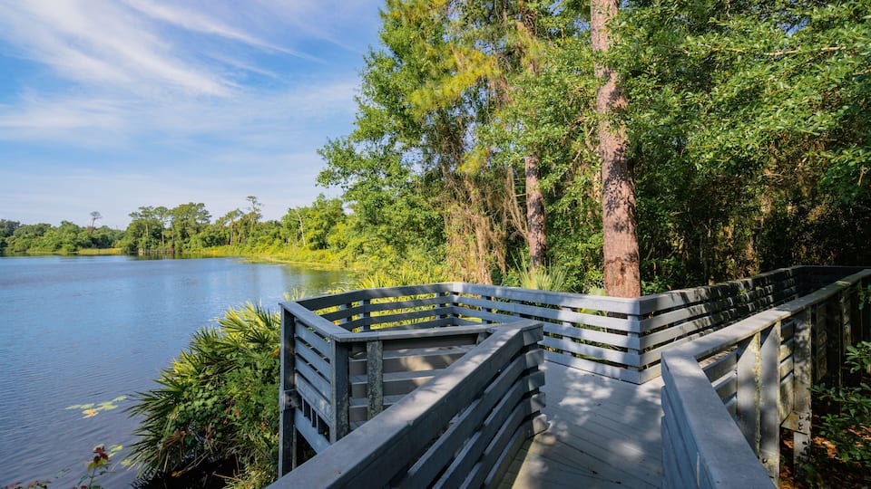A wooden boardwalk by a calm lake surrounded by dense greenery and trees.