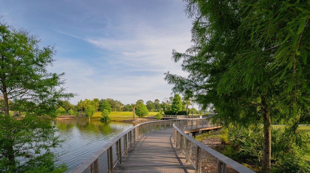 Boardwalk at Oviedo on the Park in downtown near the university in Oviedo, Florida