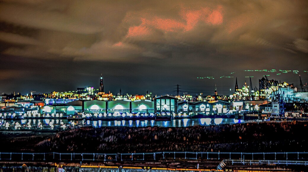 View from the new cruise ship terminal.