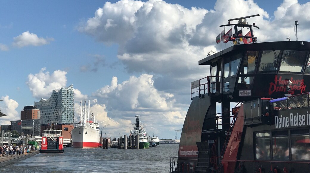 View on the Elphi...