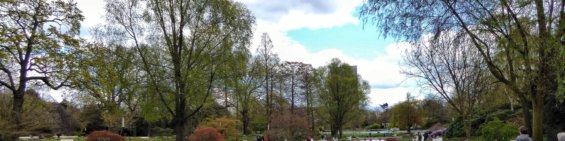 Spring in Planten un Blomen Hamburg