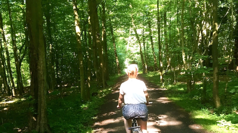 On a hot summer day you can't find something better to do, as to ride your bike through the this the forrest.
On top there is a delicious ice cream stand nearby and the tram isn't to far as well
