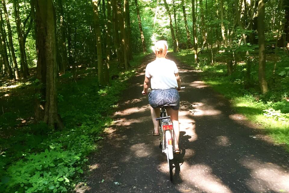 A person riding a bicycle on a forest path.