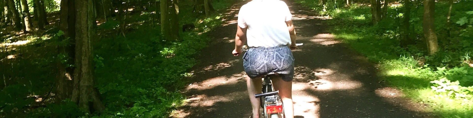 On a hot summer day you can't find something better to do, as to ride your bike through the this the forrest. 
On top there is a delicious ice cream stand nearby and the tram isn't to far as well