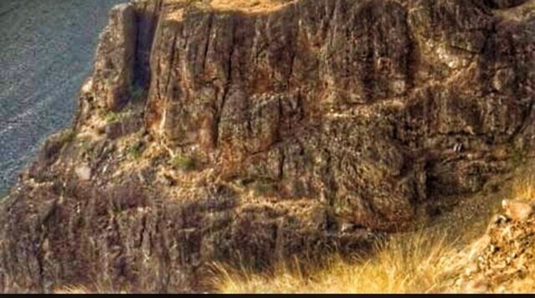 Do a jet boat ride! Saw a mother bear and her two cubs. Catch the boat right below Hells Canyon Dam
#River Photo Challenge!