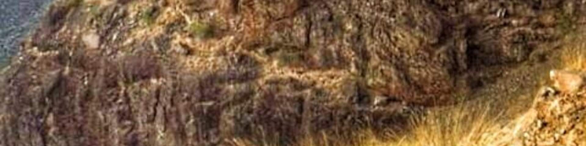 Do a jet boat ride! Saw a mother bear and her two cubs. Catch the boat right below Hells Canyon Dam
#River Photo Challenge!