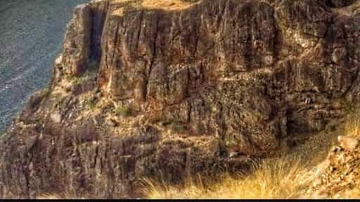 Do a jet boat ride! Saw a mother bear and her two cubs. Catch the boat right below Hells Canyon Dam
#River Photo Challenge!