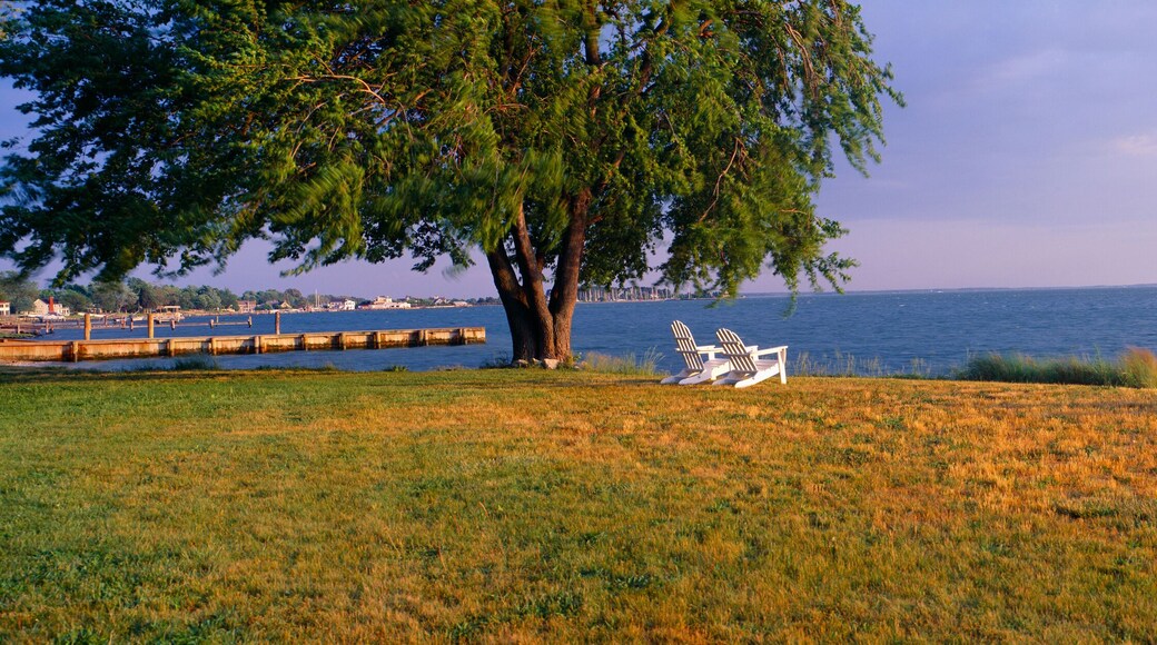 Beach chairs by Chesapeake Bay at Robert Morris Inn, Oxford, Maryland