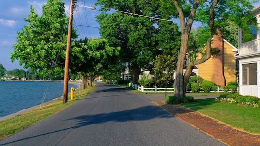 ์ฅ์คํผ๋