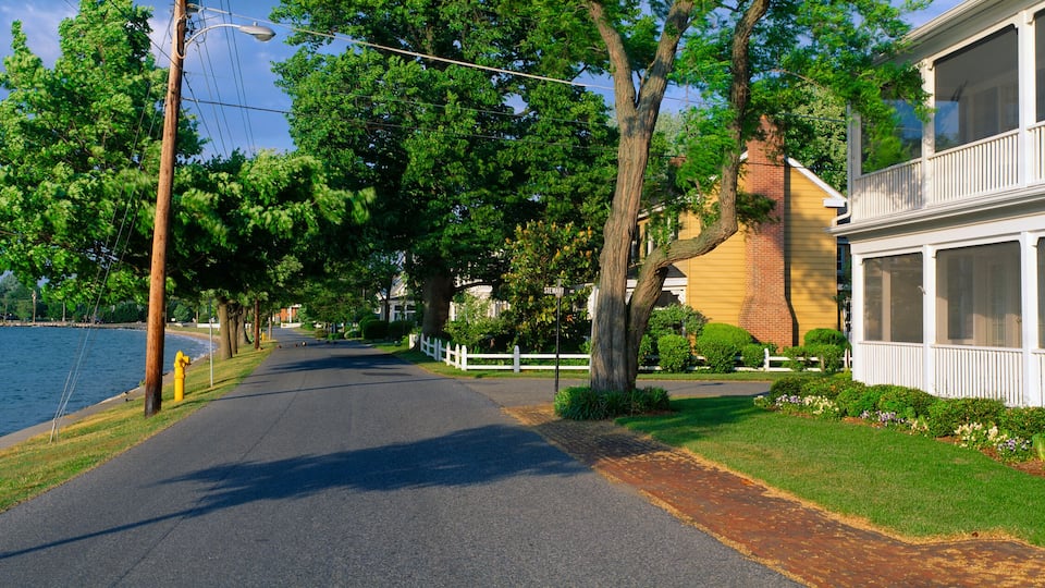 A waterfront street lined with trees and a white building with a balcony.