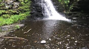 Went for a hike in Harrisburg. It was a beautiful Day. Originally I thought it was going to be very basic. After all, it was Pennsylvania. I was pleasantly surprised. The beauty was non stop.. September was the perfect time...