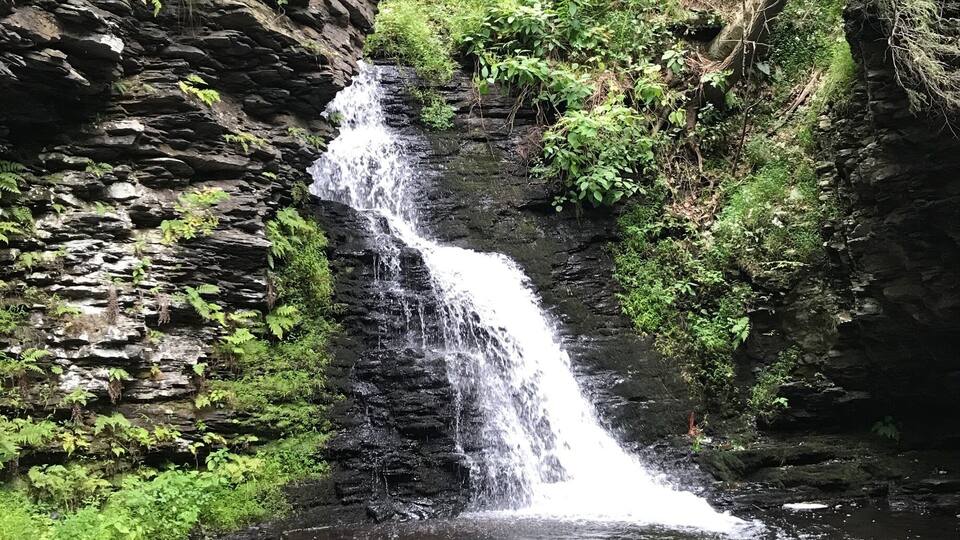 Went for a hike in Harrisburg. It was a beautiful Day. Originally I thought it was going to be very basic. After all, it was Pennsylvania. I was pleasantly surprised. The beauty was non stop.. September was the perfect time...
