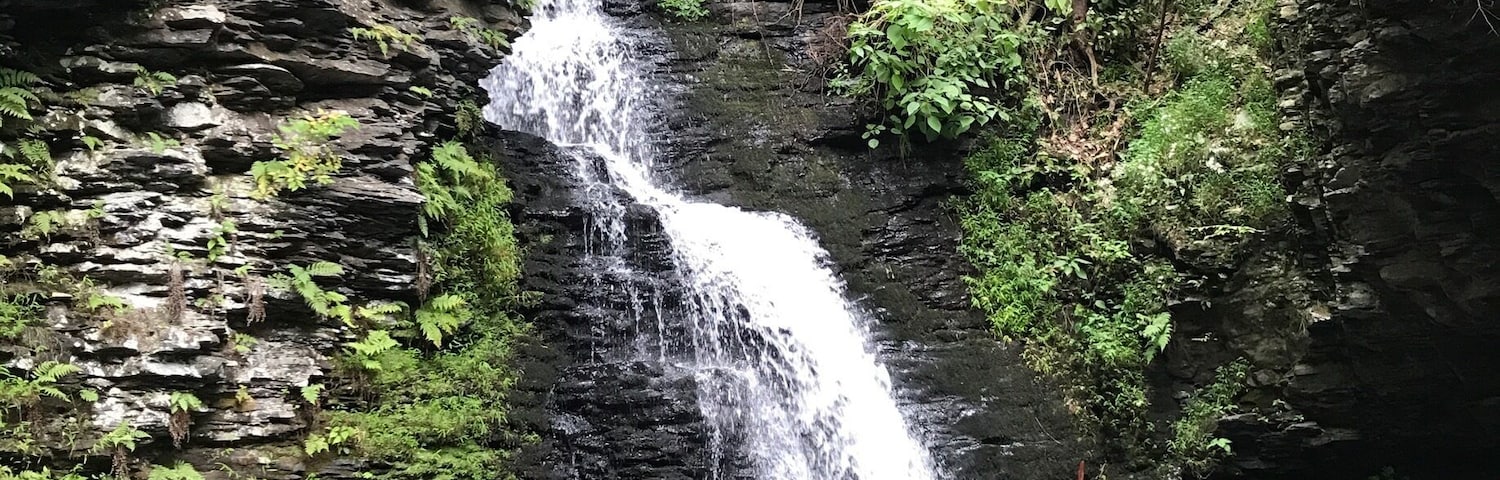 Went for a hike in Harrisburg. It was a beautiful Day. Originally I thought it was going to be very basic. After all, it was Pennsylvania. I was pleasantly surprised. The beauty was non stop.. September was the perfect time...