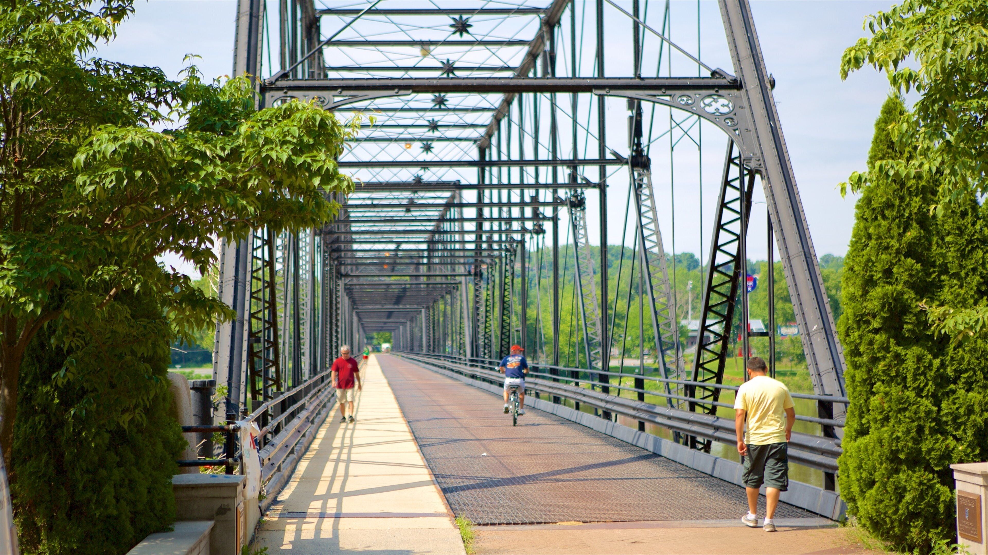 Harrisburg showing a bridge, hiking or walking and a river or creek