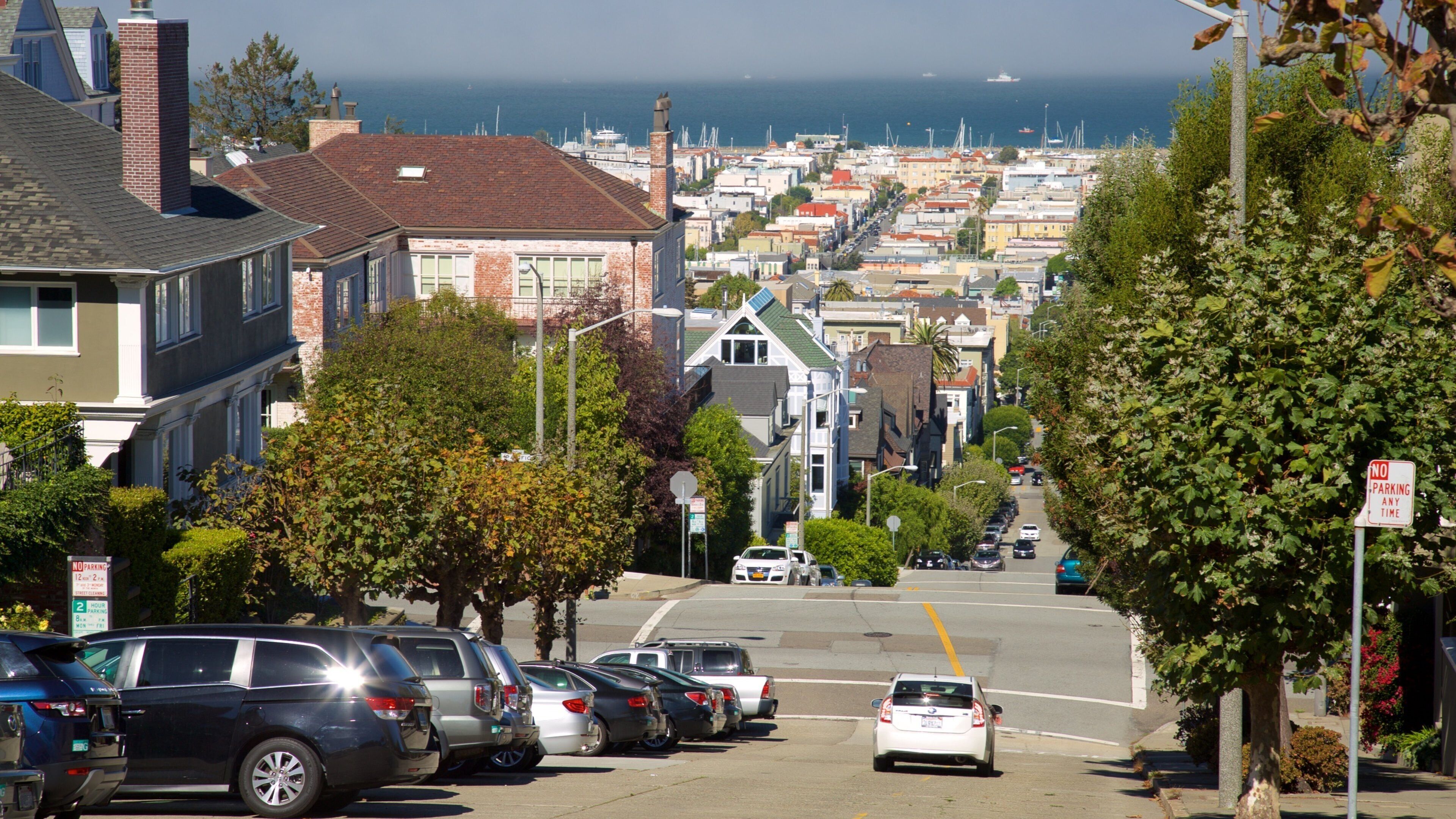Pacific Heights mostrando località costiera e strade