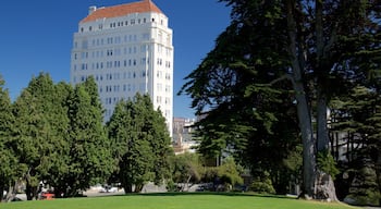 Pacific Heights som viser en have