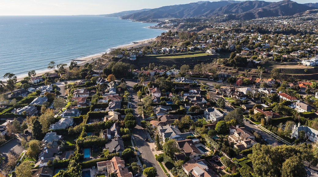 帕西菲克帕利塞茲