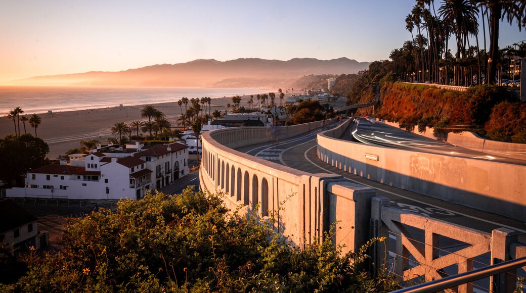 A coastal cityscape with a curved road, palm trees, and a beach in the background.