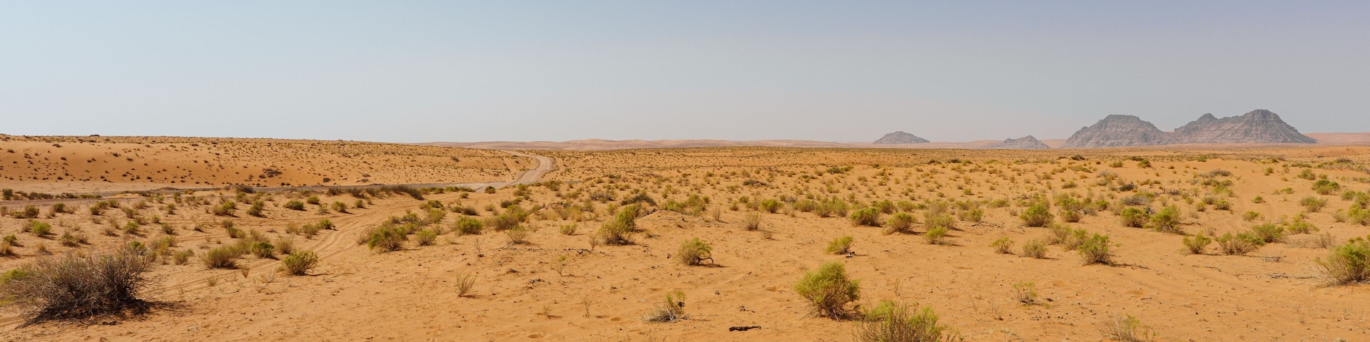 Paisagem desértica com vegetação escassa, uma estrada sinuosa e formações rochosas ao longe.