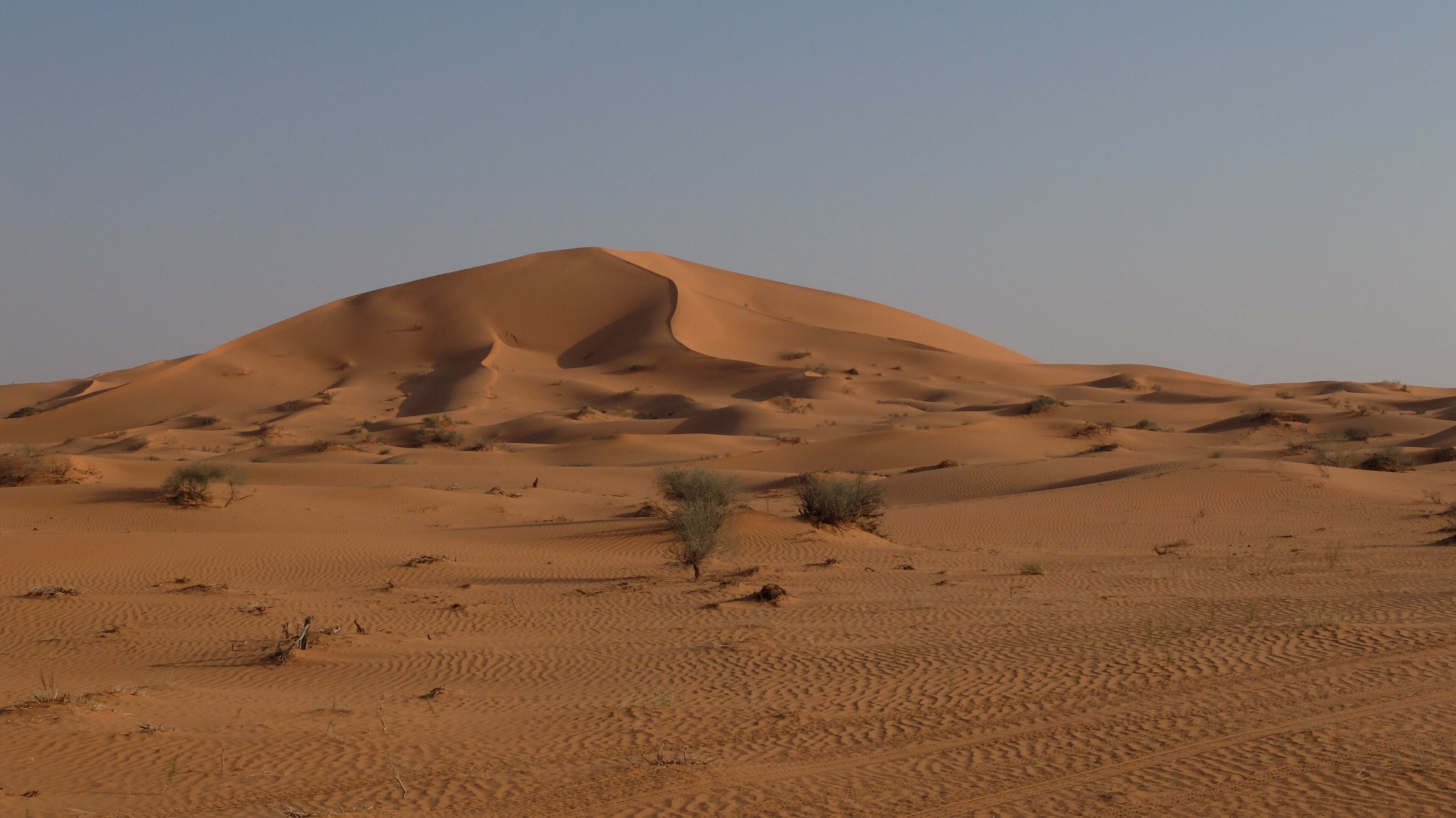 Star Dunes in the Nafud Desert close to Ha'il in Northern Saudi Arabia