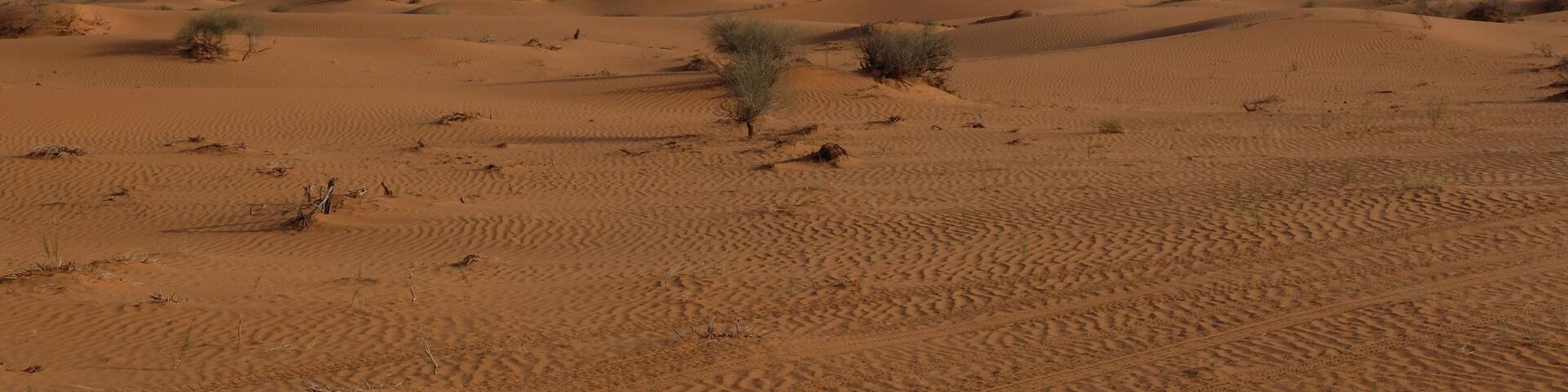 Star Dunes in the Nafud Desert close to Ha'il in Northern Saudi Arabia