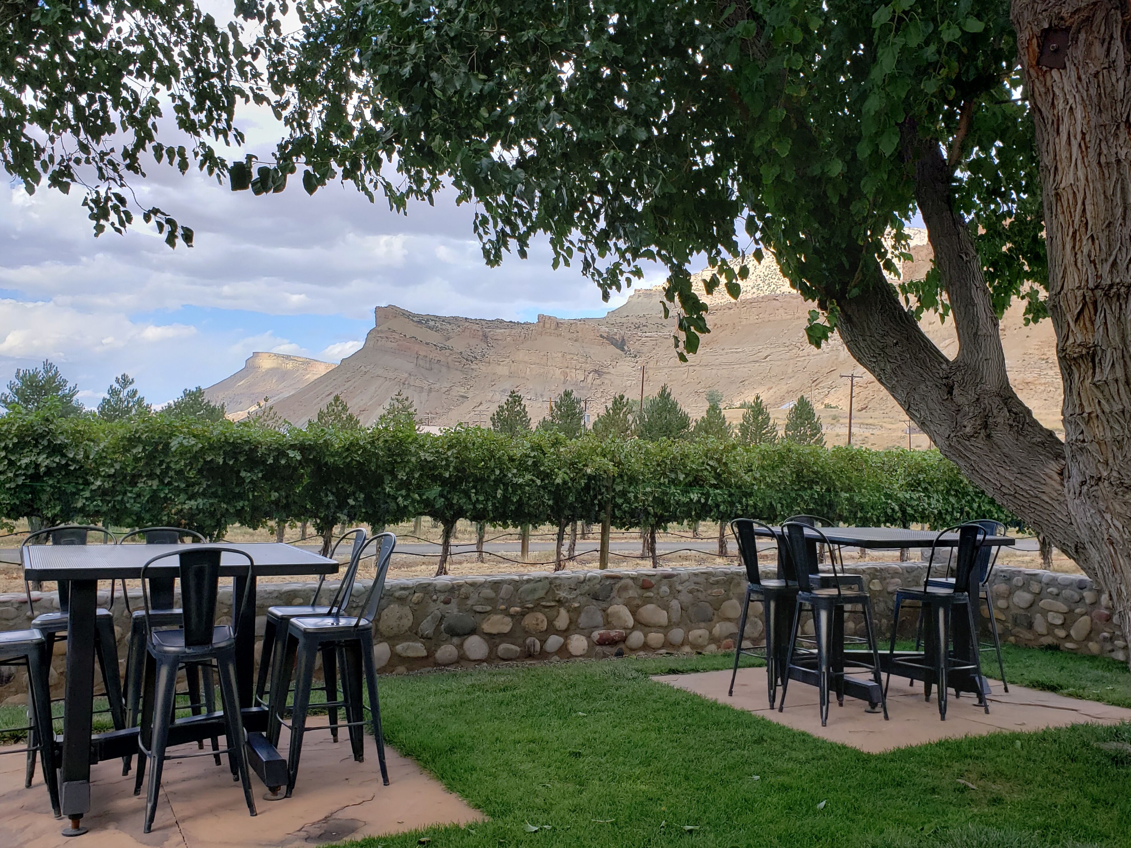 A beautiful place for wine tasting.