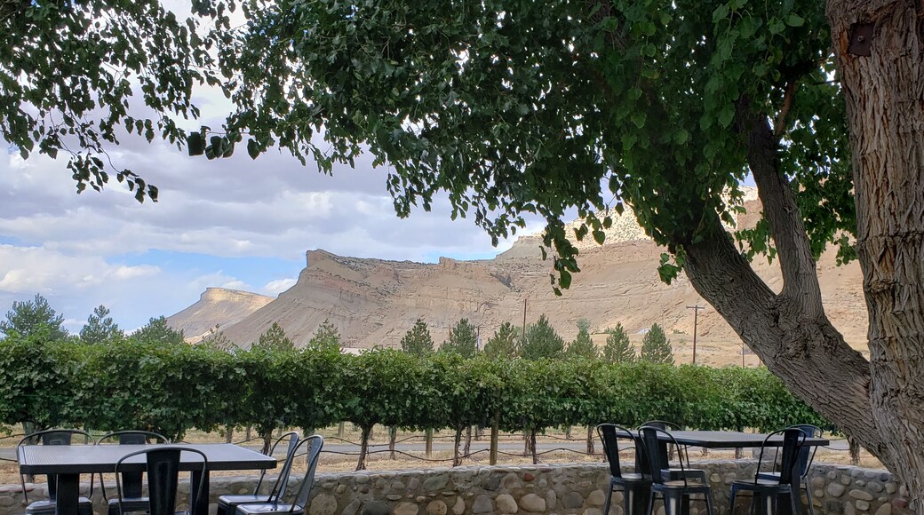 A beautiful place for wine tasting.