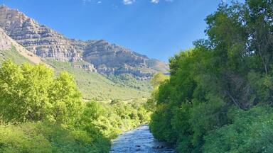 This peaceful creek can be found near Bridal Veil falls in Provo. #adventure #adventurephotocontest