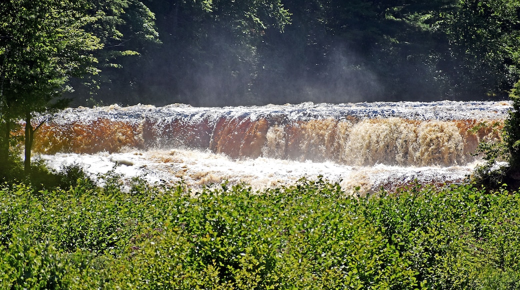 The lower falls are a series of cascades, that go around a small island, with several drops in the 10 foot range. You can rent a boat and go to the island, and walk around and see more views of the falls.