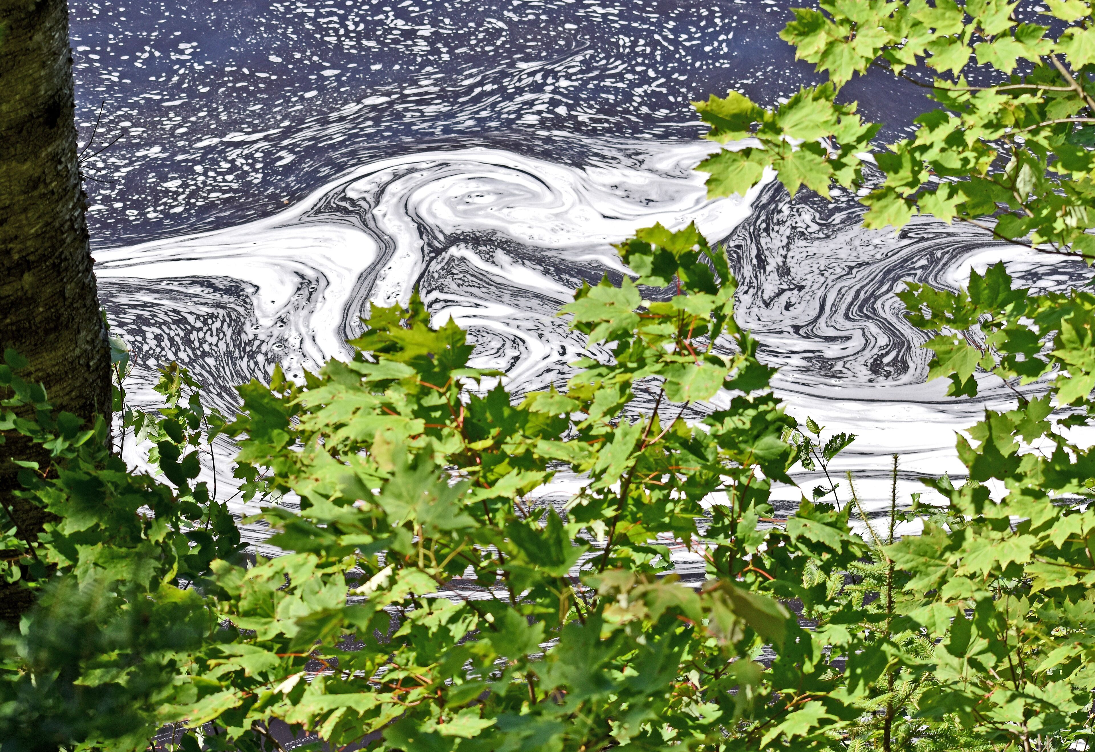 The extremely soft water churned by the action of the falls causes the large amounts of foam, which has been the trademark of the Tahquamenon since the days of the voyager.