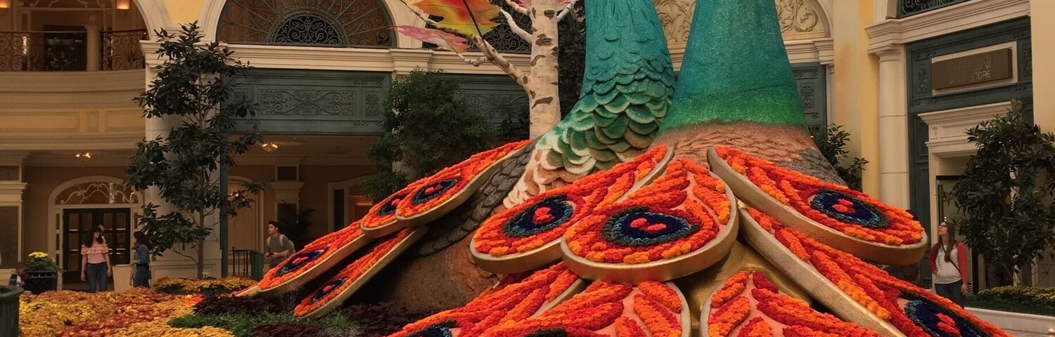 Breathe taking
#lifeatexpedia