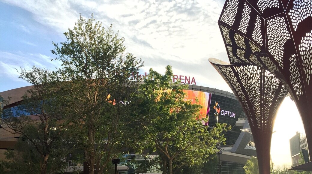 This "The Park", and the new T-Mobile Arena. I was there a couple of weeks ago. The park is very spacious, with several restaurants and places to sit, besides the Arena itself, which is wide and with good view of the spectacle, wherever you sit.