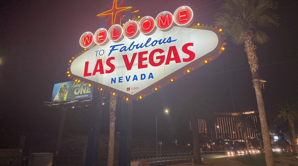 Walked 4 miles for this pic