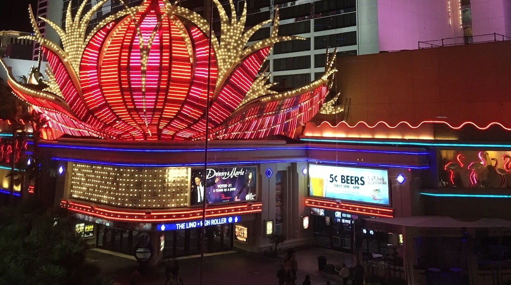 Flamingo casino Las Vegas