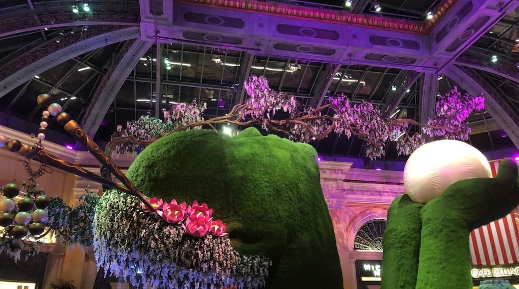 Every time I am in Las Vegas I make sure I stop by the Bellagio Gardens. This weekends exhibit did not disappoint. If you look closely you will see that this is the face of a woman looking up. Just beautiful! #lifeatexpedia