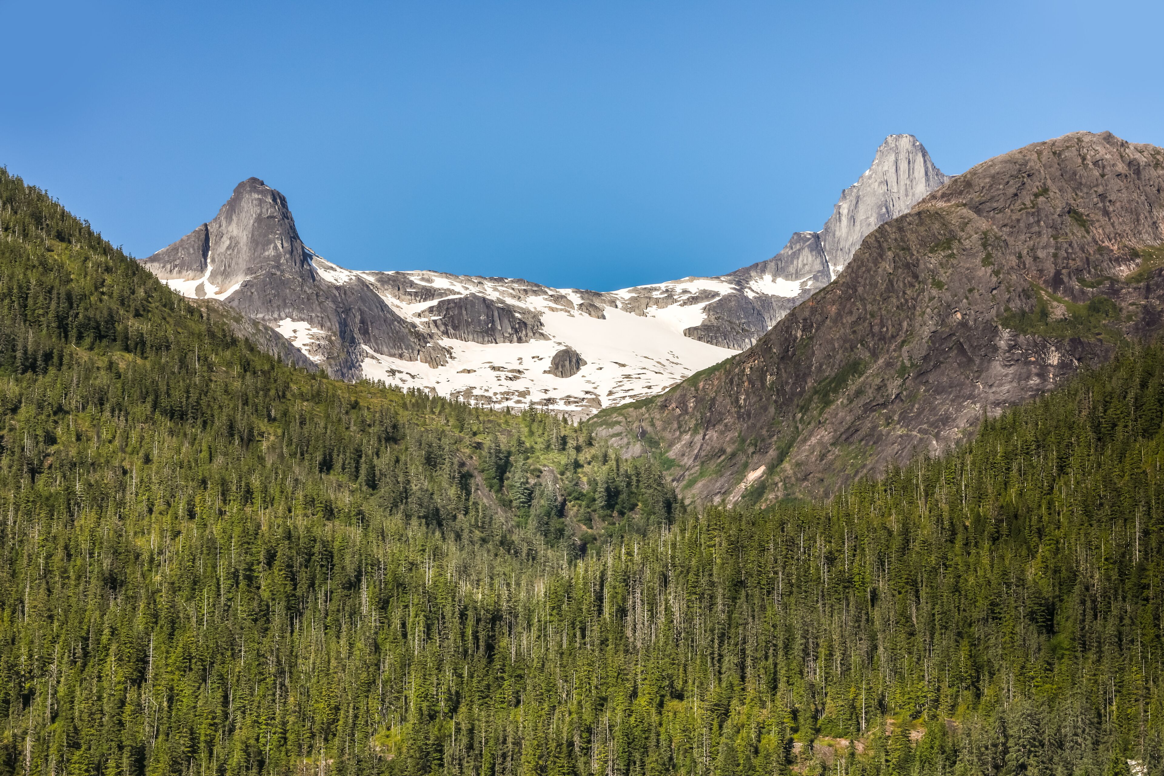 A mountainous landscape with dense forests and snow-capped peaks under a clear blue sky.
