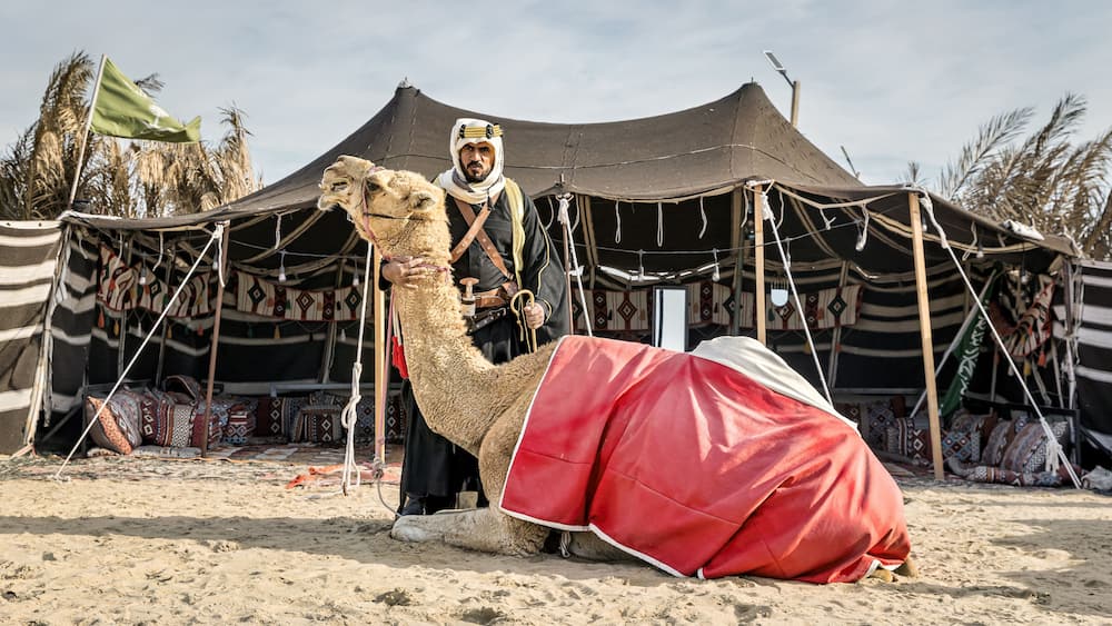 Arabian warrior sitting with his camel and falcon in front of his traditional Bedouin tent