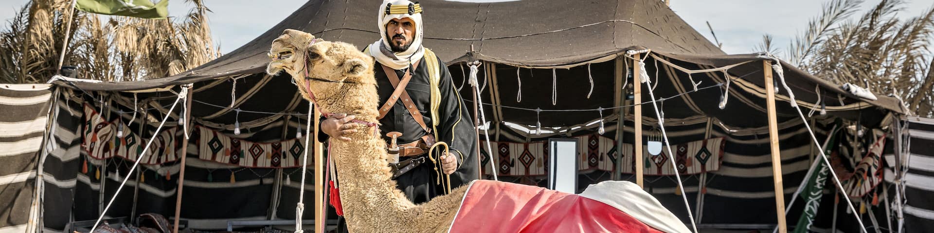 Arabian warrior sitting with his camel and falcon in front of his traditional Bedouin tent