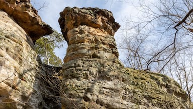Makanda, Illinois / Devil's Standtable close up in Giant City State Park / rocks