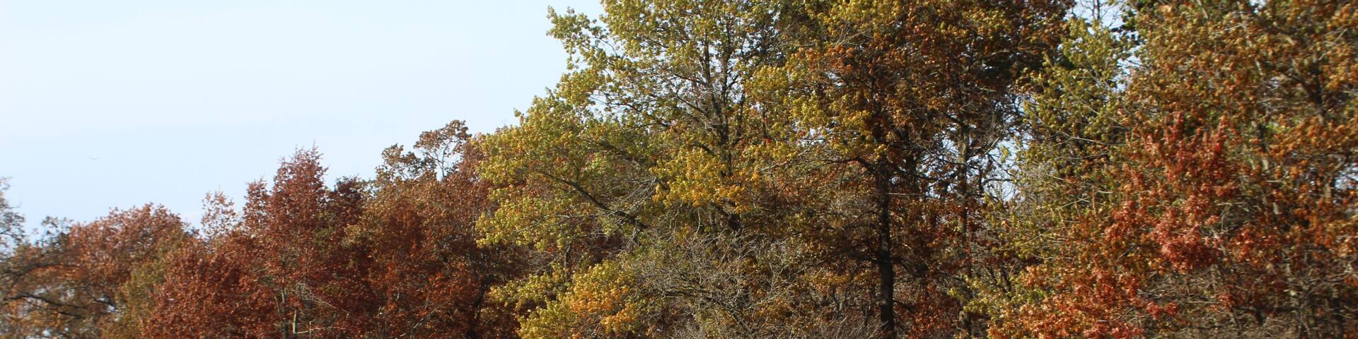 Father and daughter riding bikes on North Branch Trail at Miami Woods in Morton Grove, Illinois in autumn