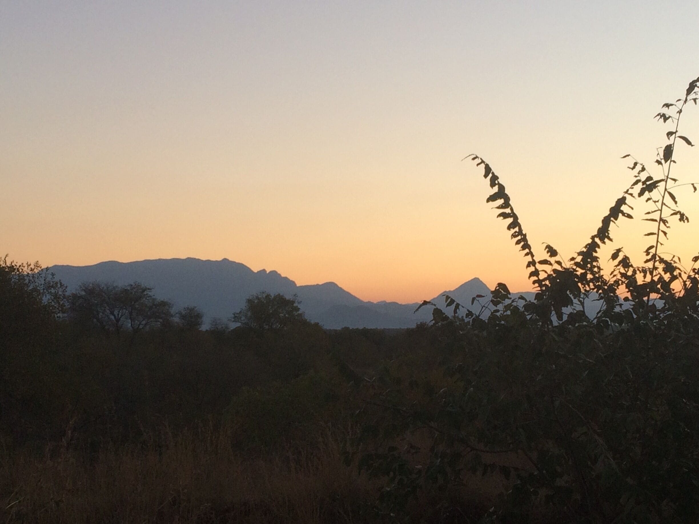 Sunset in the bush