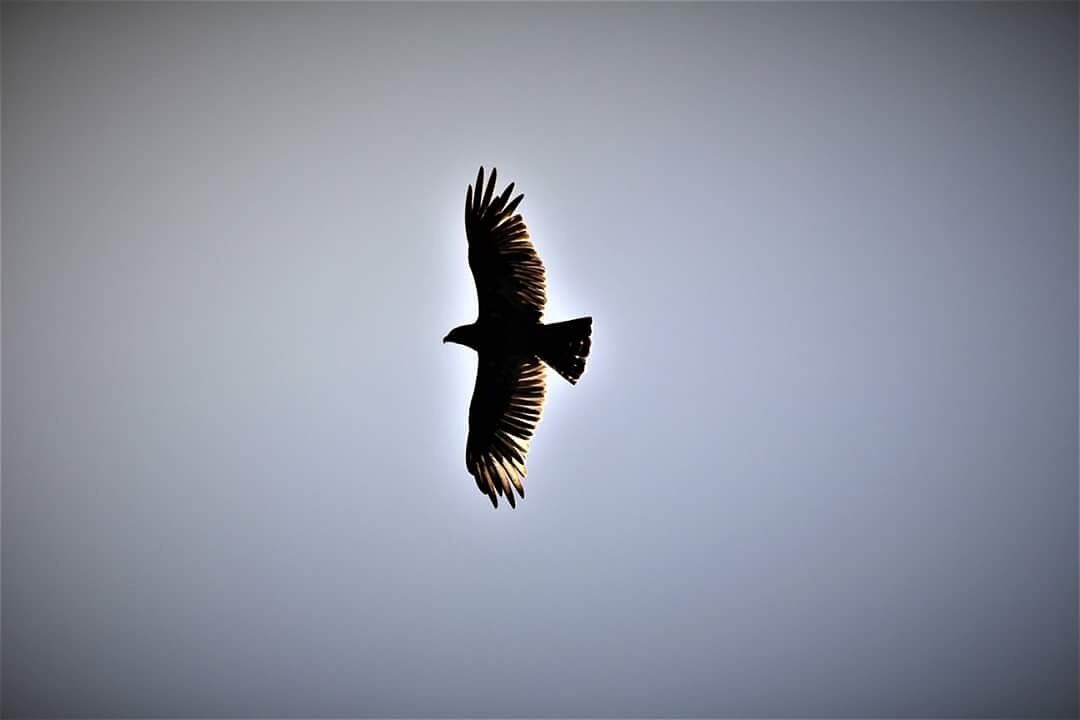 When you get the perfect shot after so many fails
#lifeatexpedia