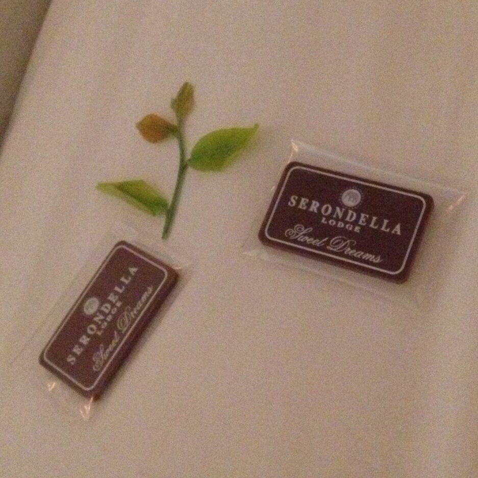 The Serondella Lodge is one of many boutique lodges on the private "Thornybush Game Reserve" right next to Kruger.  The staff are amazing and the food is just as spectacular!