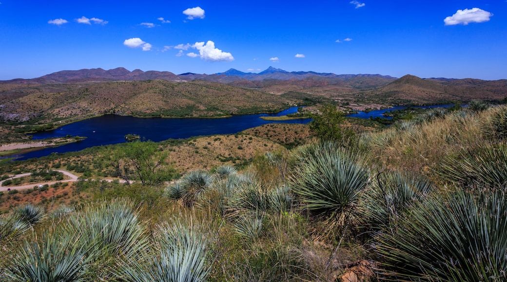 A mountainous landscape with a lake and sparse vegetation.