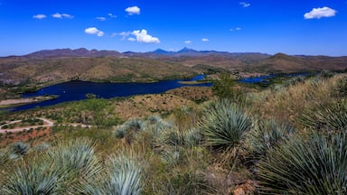 Paisagem montanhosa com um lago e vegetação rasteira.